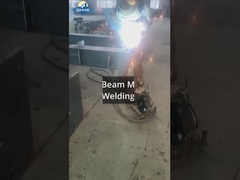 क्रेन परियोजना के साथ श्रीलंका इस्पात कार्यशाला