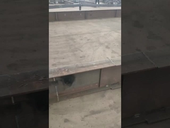 श्रीलंका कार्यशाला परियोजना की पूर्व-विधानसभा